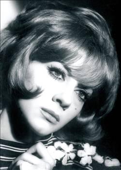 Çolpan İlhan kimdir?