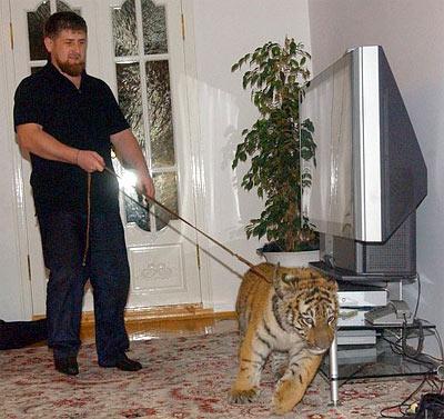 Ramazan Kadirov kimdir