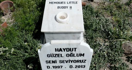 Ankara'da hayvan mezarlığı yapıldı