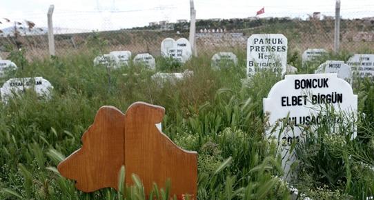 Ankara'da hayvan mezarlığı yapıldı