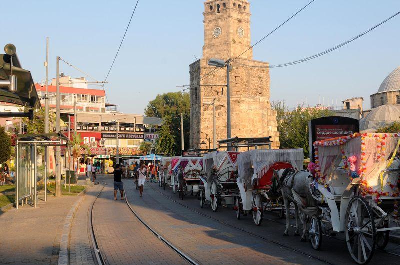 Antalya'da atları yağlı boya ile boyadılar