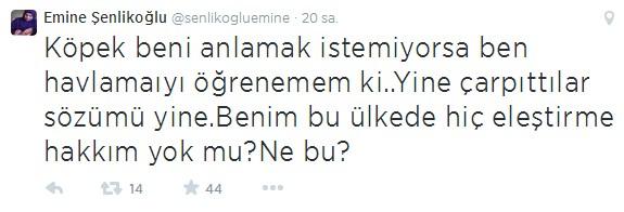 Emine Şenlikoğlu'ndan İstiklal Marşı'na hakaret