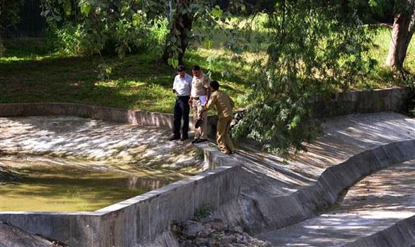 Kaplan saldırısına uğrayan Hintli genç hayatını kaybetti İZLE