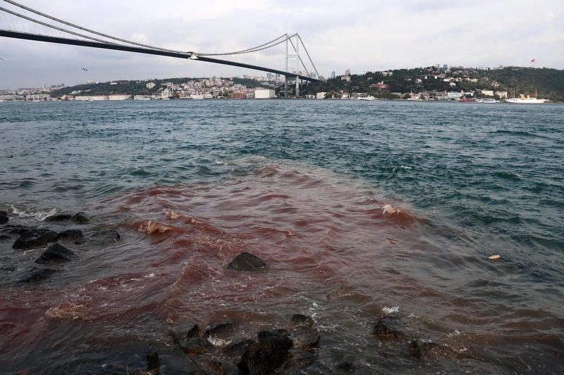 Doğan Medyası'nın geleneksel kurban haberi