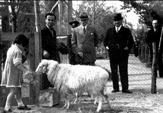 Atatürk'ün kurbanlık koyunla çekilen fotoğrafı