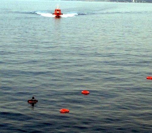 Yalova'ya giden feribottan denize atladı