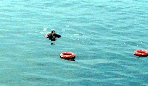 Yalova'ya giden feribottan denize atladı