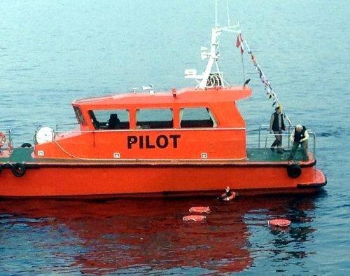 Yalova'ya giden feribottan denize atladı