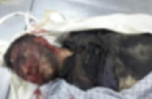 Kobani olayları sırasında 23 kişi nasıl öldü