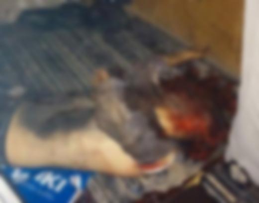 Kobani olayları sırasında 23 kişi nasıl öldü