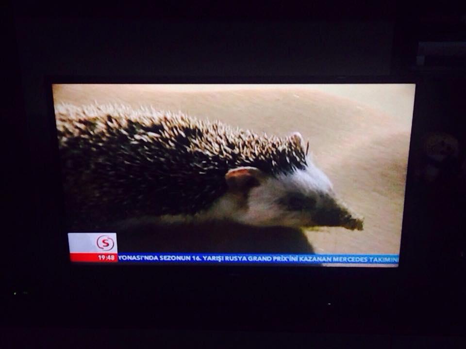 HSYK'da kaybeden cemaat belgesel yayınladı