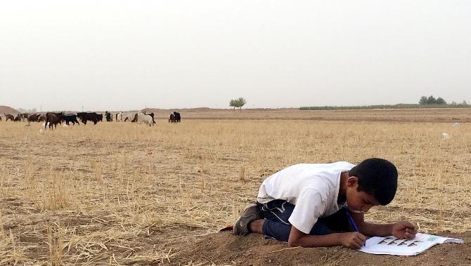 Suriye sınırındaki küçük çoban yürek burktu