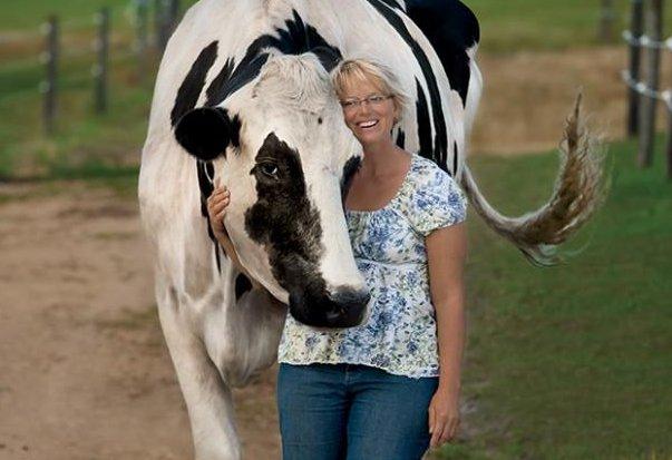 ABD'de bir inek Guinness Rekorlar Kitabı'na girdi