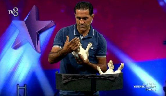 Hayvanları hipnoz eden yarışmacı jüriyi şaşırttı İZLE