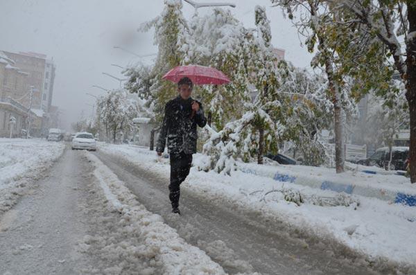 Hakkari'de yoğun kar yağışı ulaşımı olumsuz etkiledi
