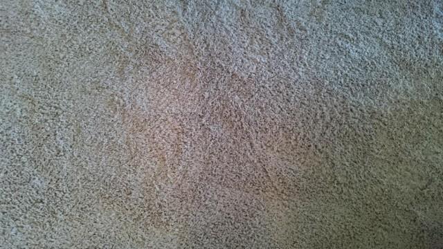 Sony Xperia'da pembe kamera sorunu