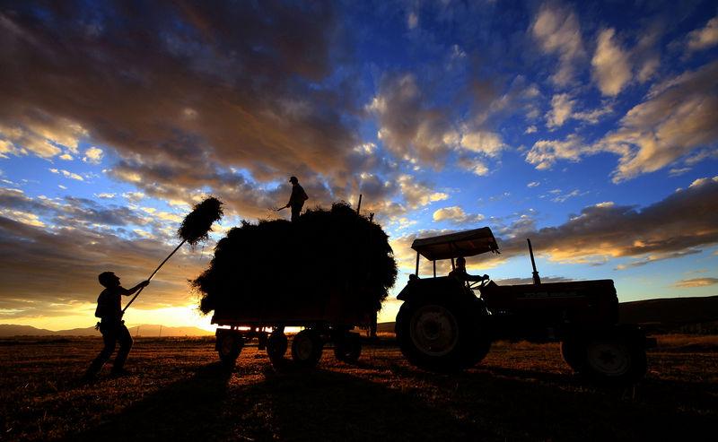 Silüet fotoğrafı çekmenin ipuçları