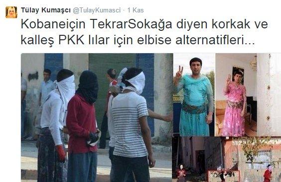 Kedicik Tülay Kumaşçı'nın gecelikli fotoğrafı