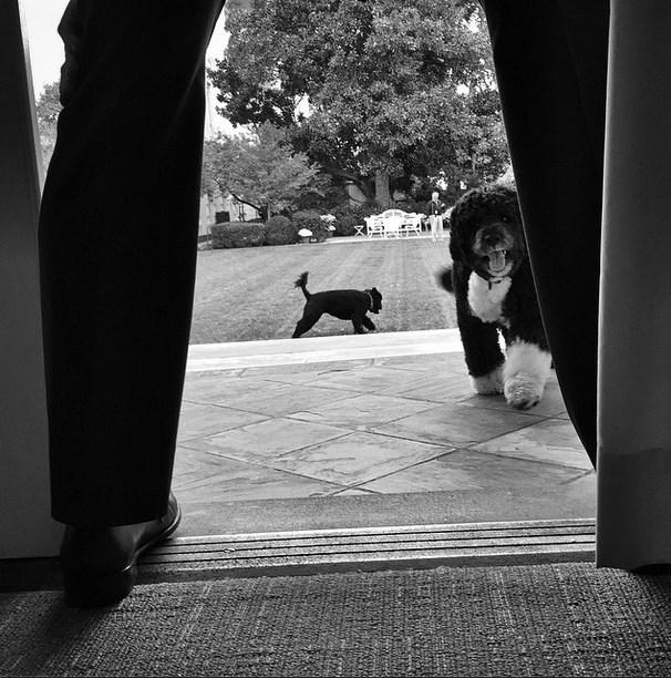 Obama ABD'deki ara seçimleri kaybetti