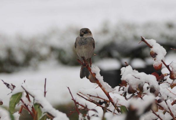 Anadolu'ya kar yağdı