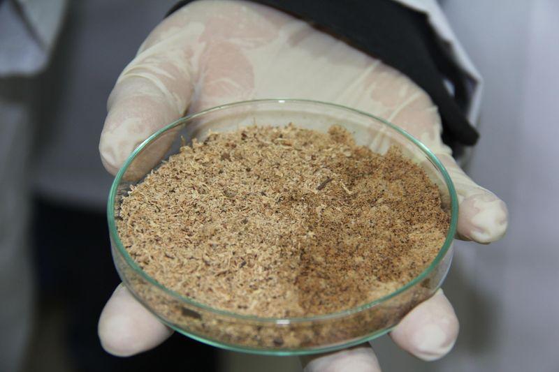 Rize'de çaydan biyoyakıt üretildi