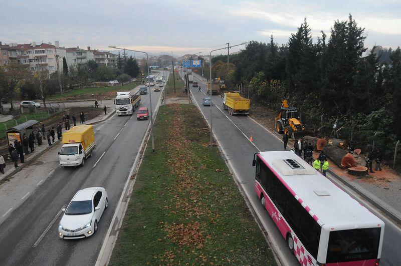 Yalova'da kesilen 180 ağacın ardından..
