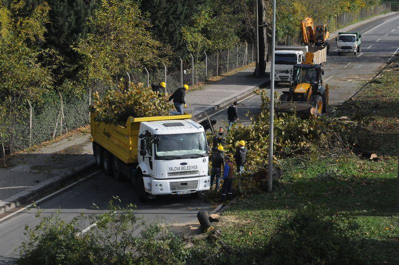 Muharrem İnce ağaç katliamı için açıklama yapacak