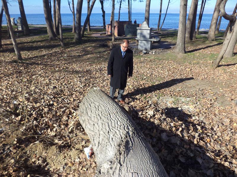 Vefa Salman daha önce ağaç kesenlere tepki göstermişti