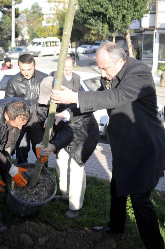 Muharrem İnce özür dileyerek fidan dikti