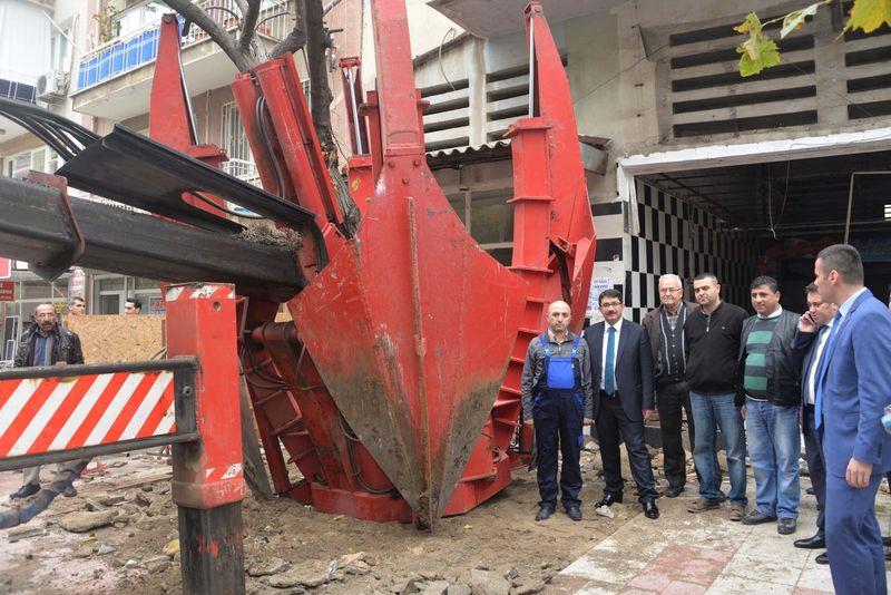 Manisa'da ağacı kesmek yerine başka bir yere taşıdılar İZLE