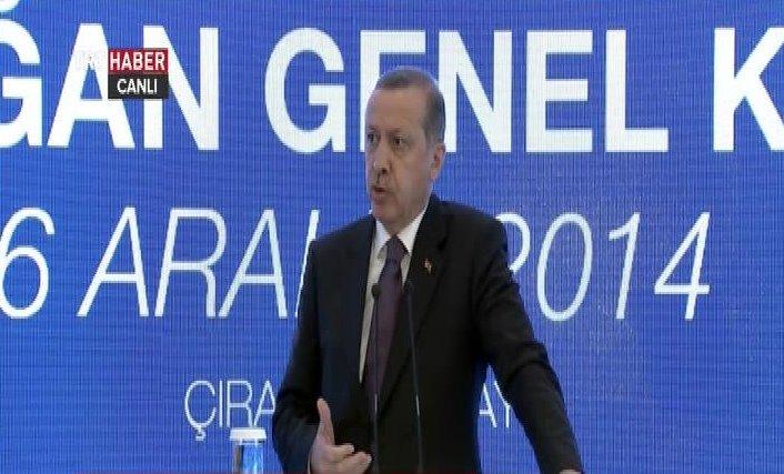 Erdoğan'dan Yalova'da ağaç kesimine tepki İZLE