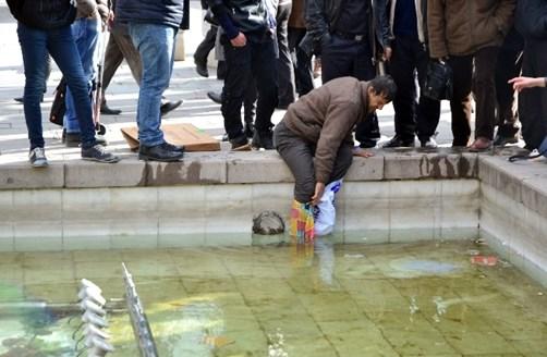 Zabıta kuş yemi satan ninenin paralarını havuza attı