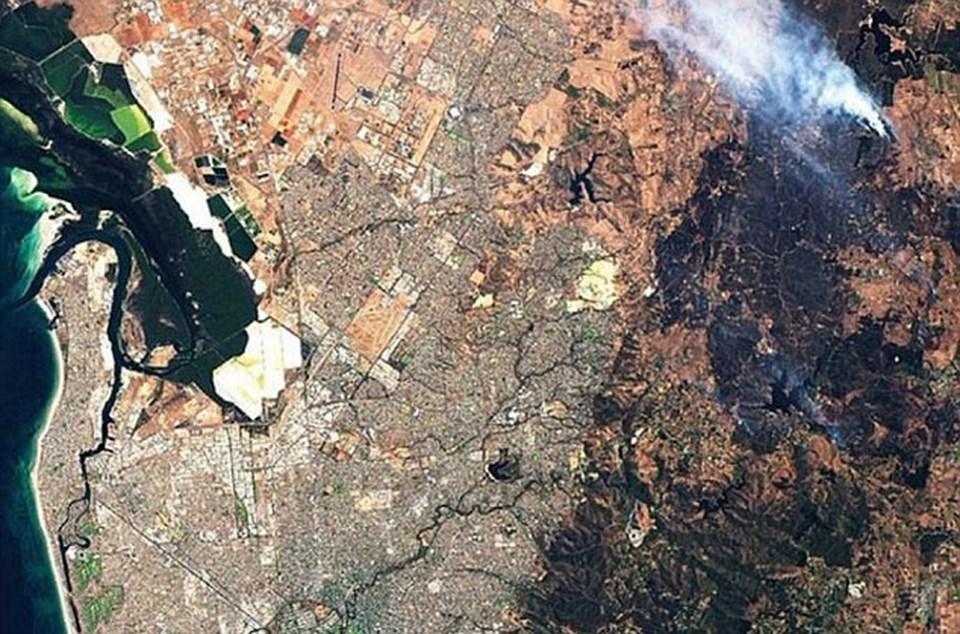 Avustralya'da orman yangını