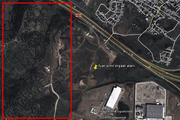 CHP'li İzmir Belediyesinden ağaç katliamı