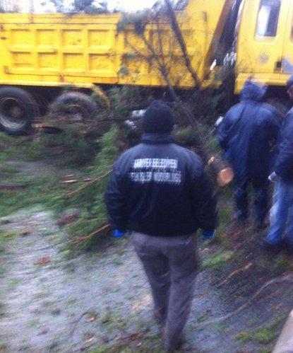 Sarıyer Belediyesi 50 yıllık ağaçları kesti