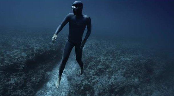 Okyanusun dibinde muhteşem gösteri
