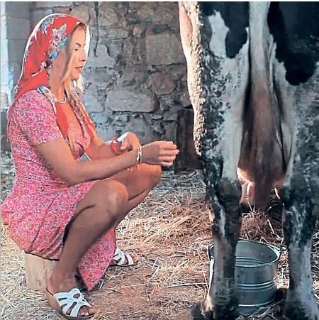 İvana Sert süt sağdı