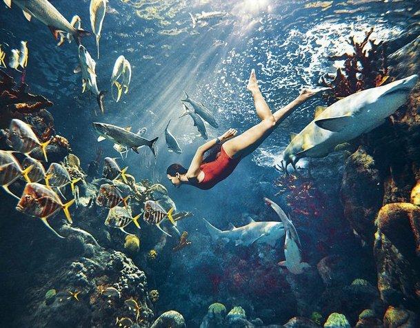 Rihanna köpekbalıklarıyla kamera karşısında geçti