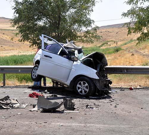 Rojin’e zorla getirilme kararı