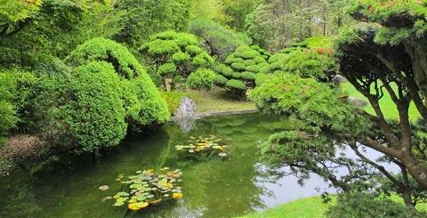 Dünyanın en yeşil 10 şehri