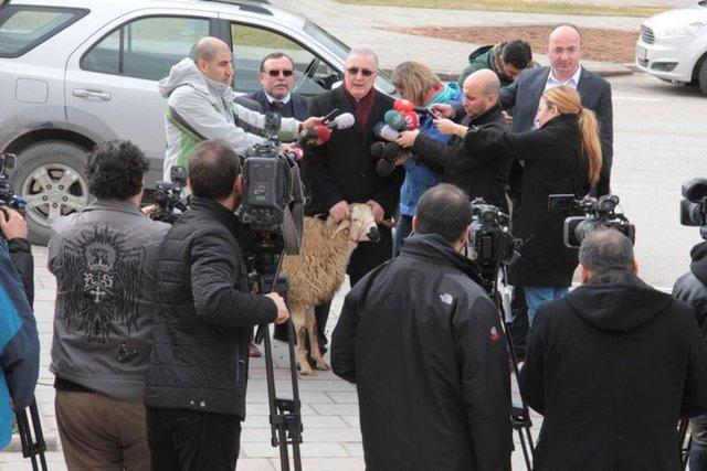 CHP'li vekil Meclis'e koçla gitti