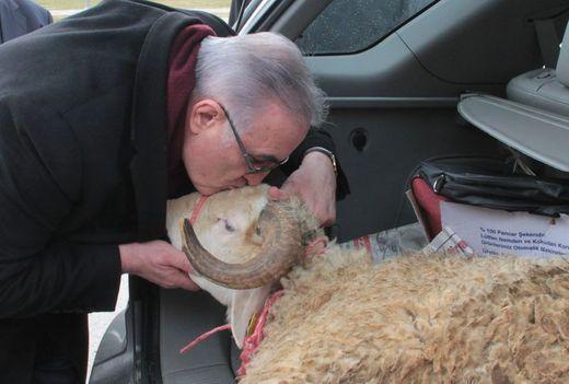 CHP'li vekil Meclis'e koçla gitti