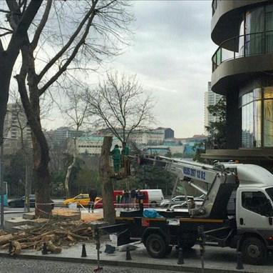 CHP'li Şişli Belediyesi otel için ağaç kesti