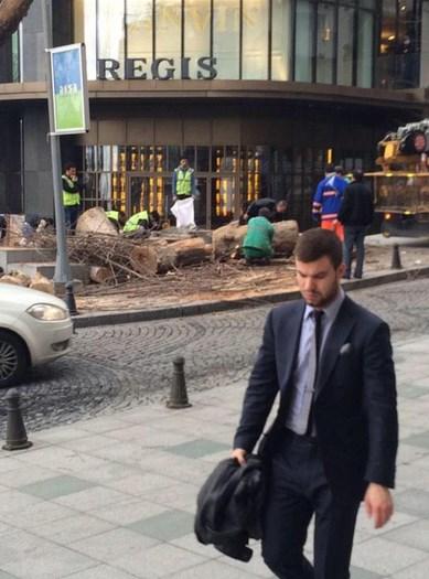 CHP'li Şişli Belediyesi otel için ağaç kesti