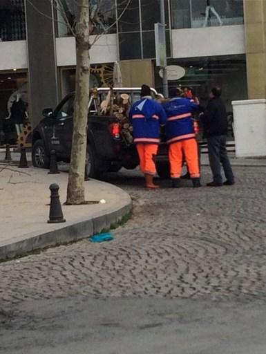 CHP'li Şişli Belediyesi otel için ağaç kesti