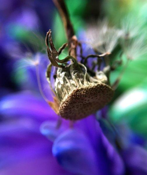 Apple'dan Samsung'a cevap geldi