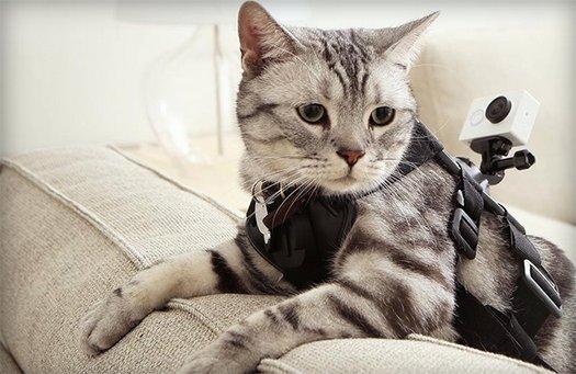 Xiaomi aksiyon kamerası üretti