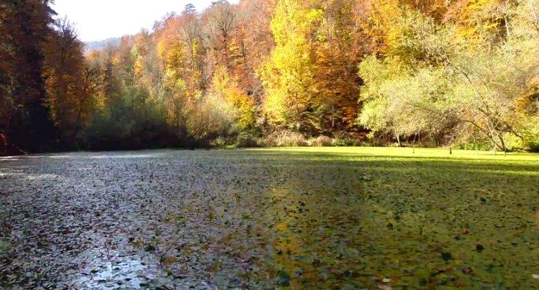 Yoldan Çık çok yakında TRT Haber'de