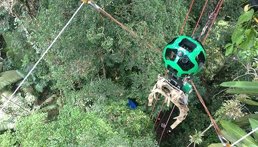 Google Amazon ormanlarını görüntüledi