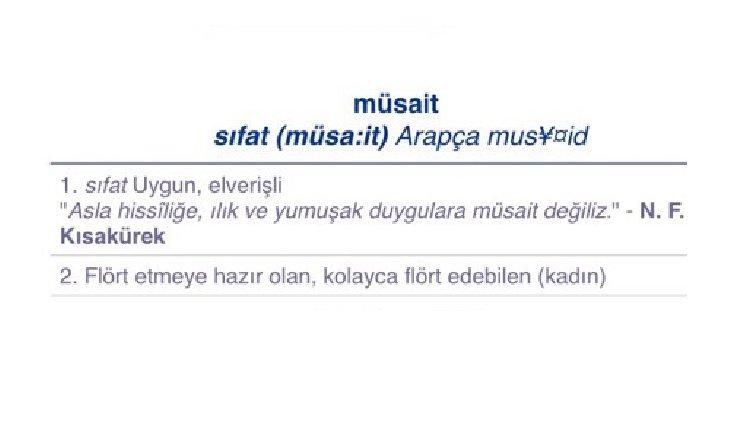 TDK'nın sitesinde skandal müsait tanımlaması